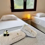 Zennova #21 Dream Nest * וורוורו