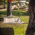 Zennova #21 Dream Nest וורוורו