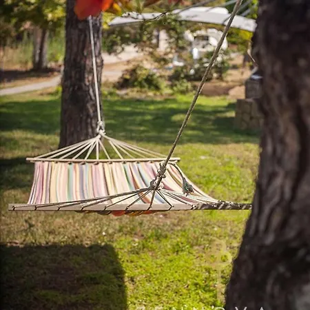 Zennova #21 Dream Nest Vourvourou